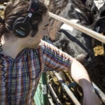 动物健康：奶牛场