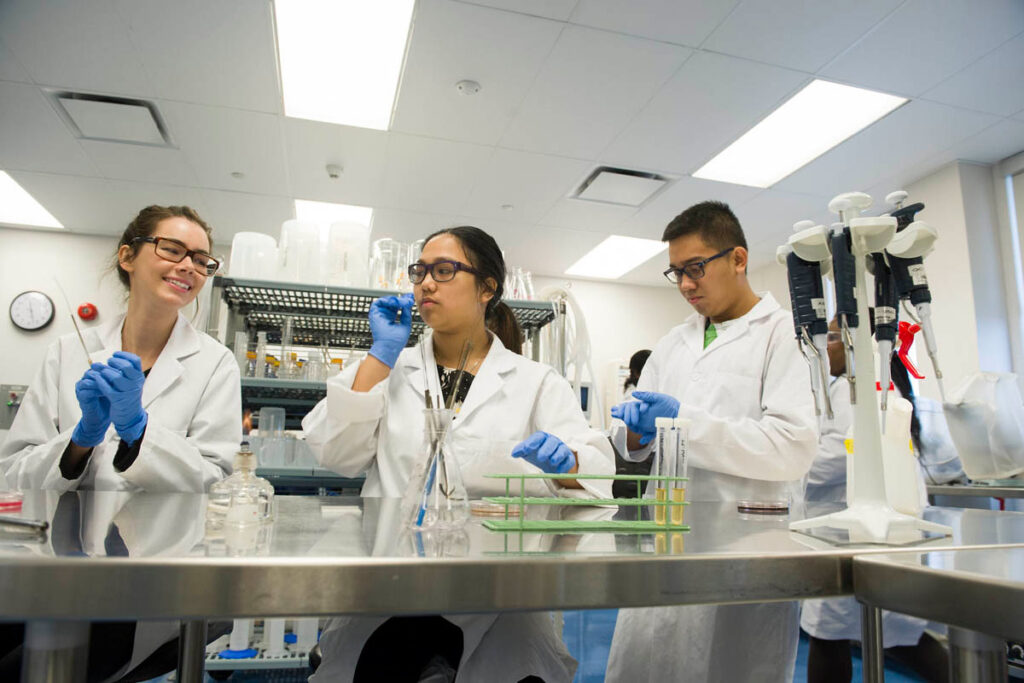 实验室里的药科学生拿着试管在柜台前交谈