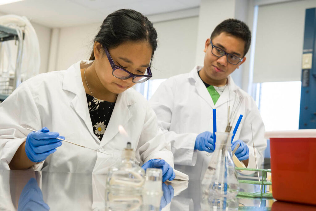 两名戴着眼镜和乳胶手套的药学学生正在取样