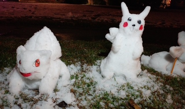 两个乌龟生物和猫生物的雪雕。