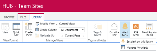 图书馆 – 设置E8官方网站选项