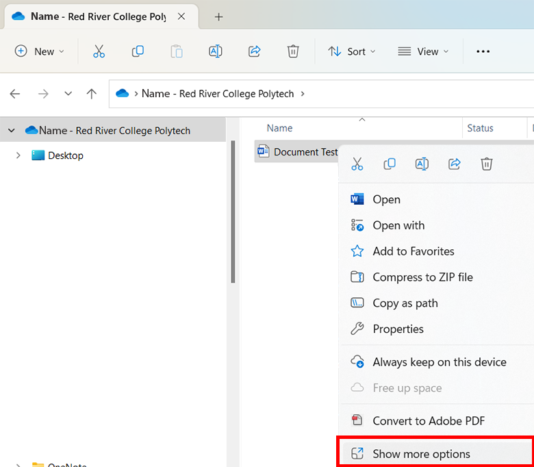 找到文件，右键单击它，然后单击“显示更多选项”