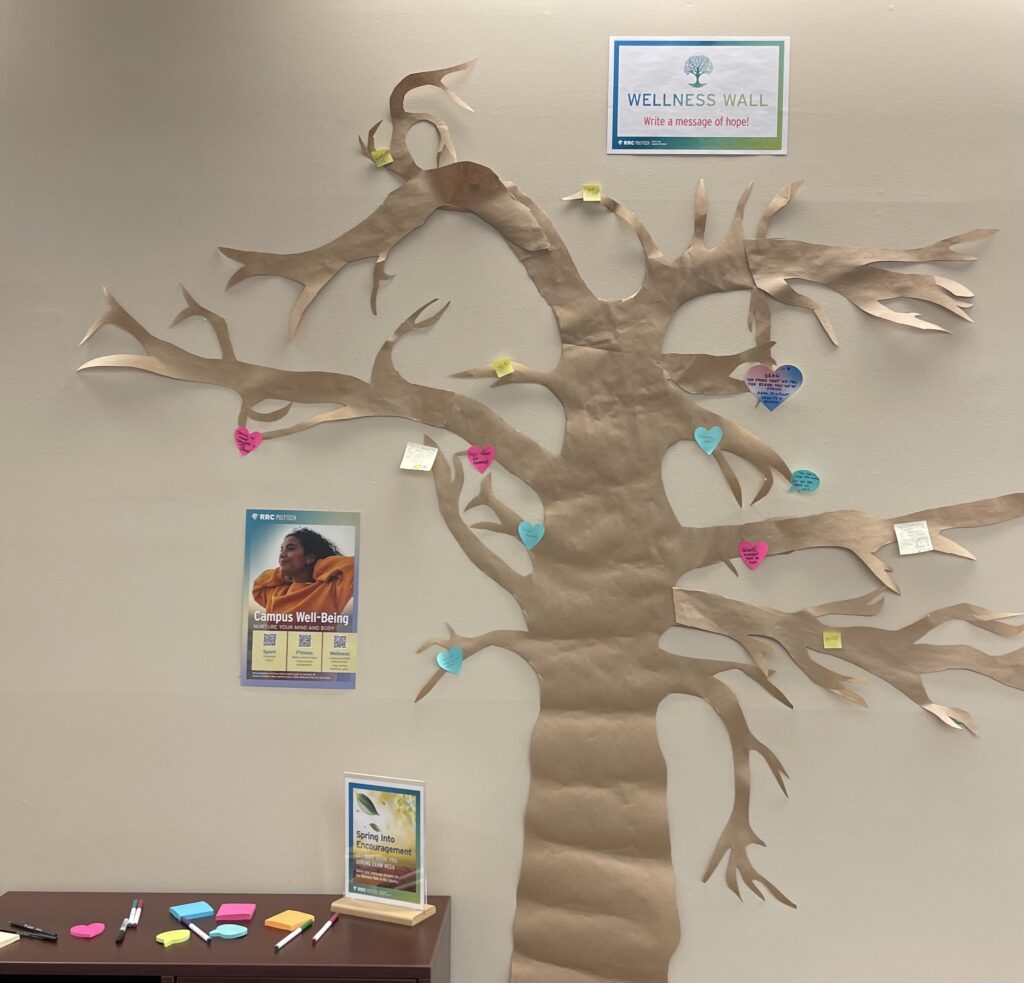 NDC 图书馆健康墙的照片。