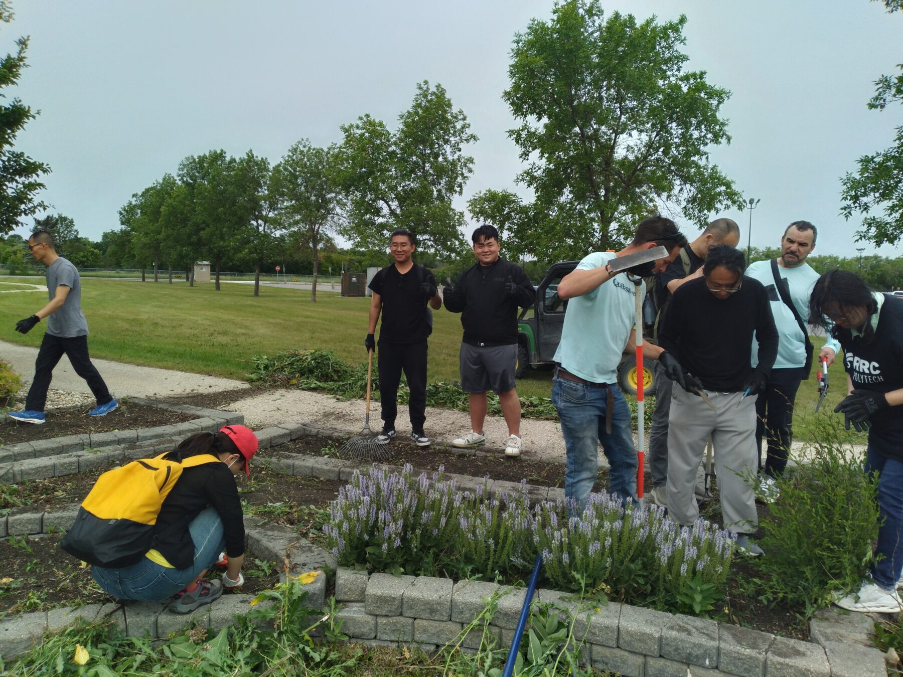 学生们在花园里拔草