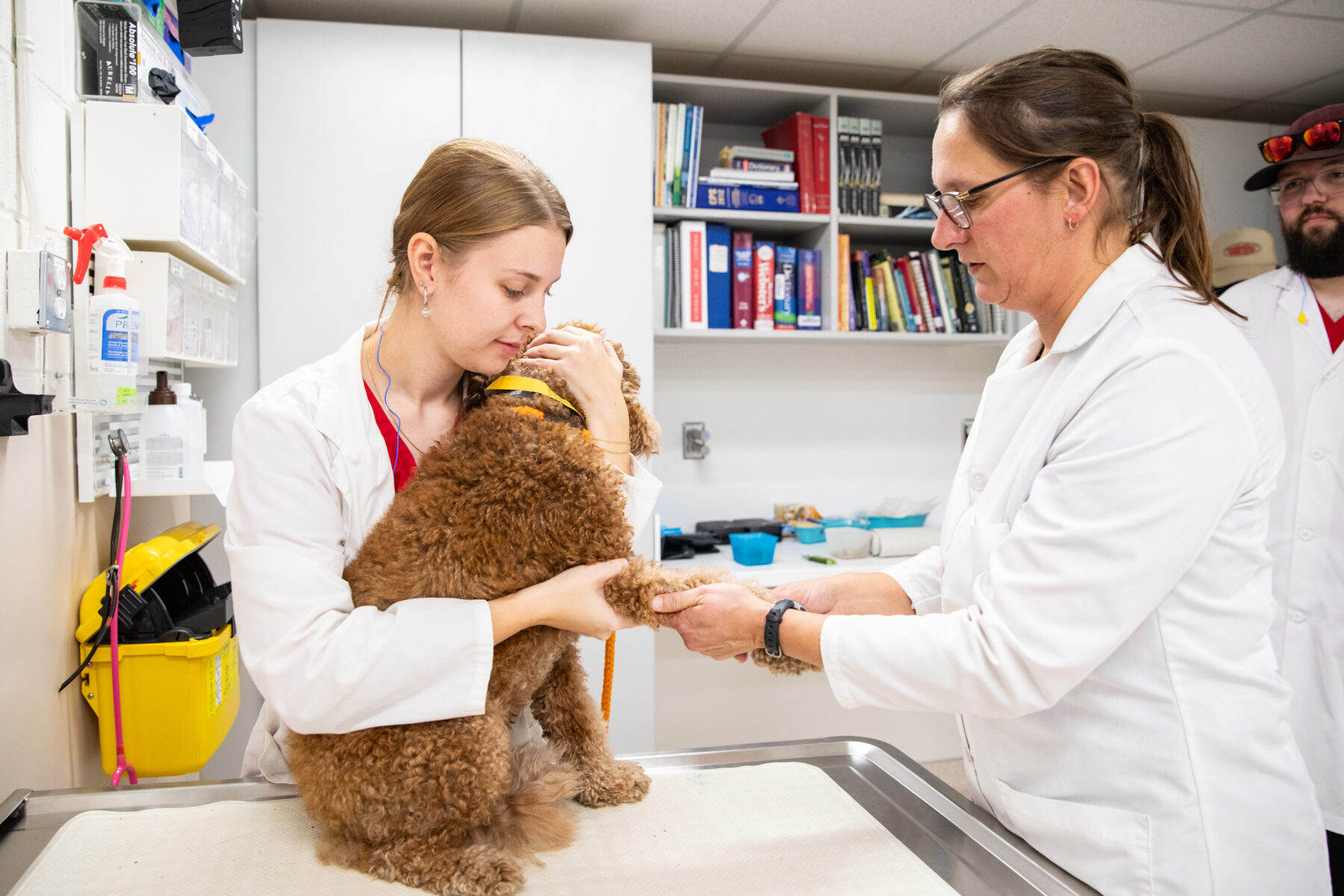 一名穿着白色医用外套的兽医技术学生抱着一只狗，而教练则在检查它的爪子。
