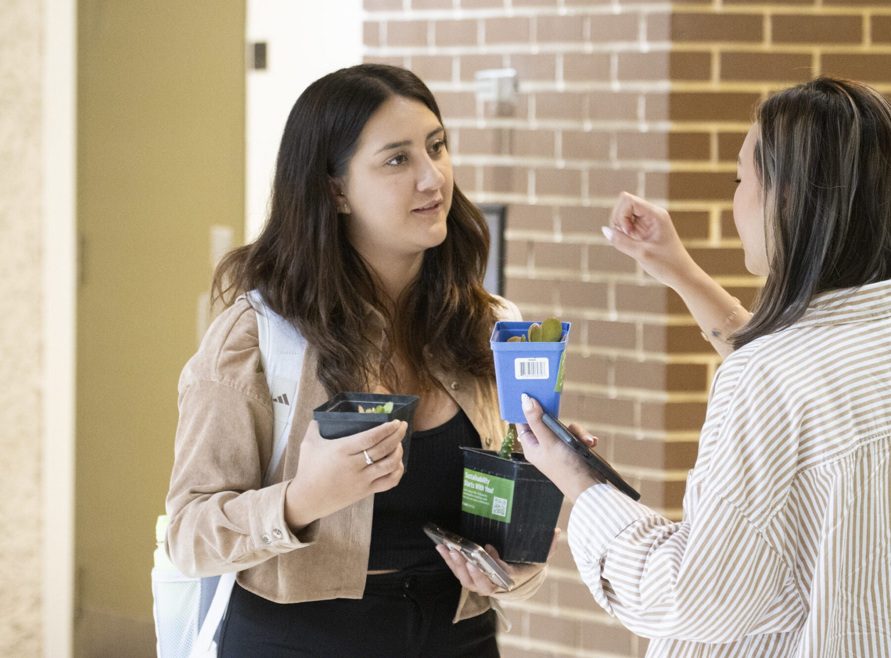 两个学生拿着植物互相交谈