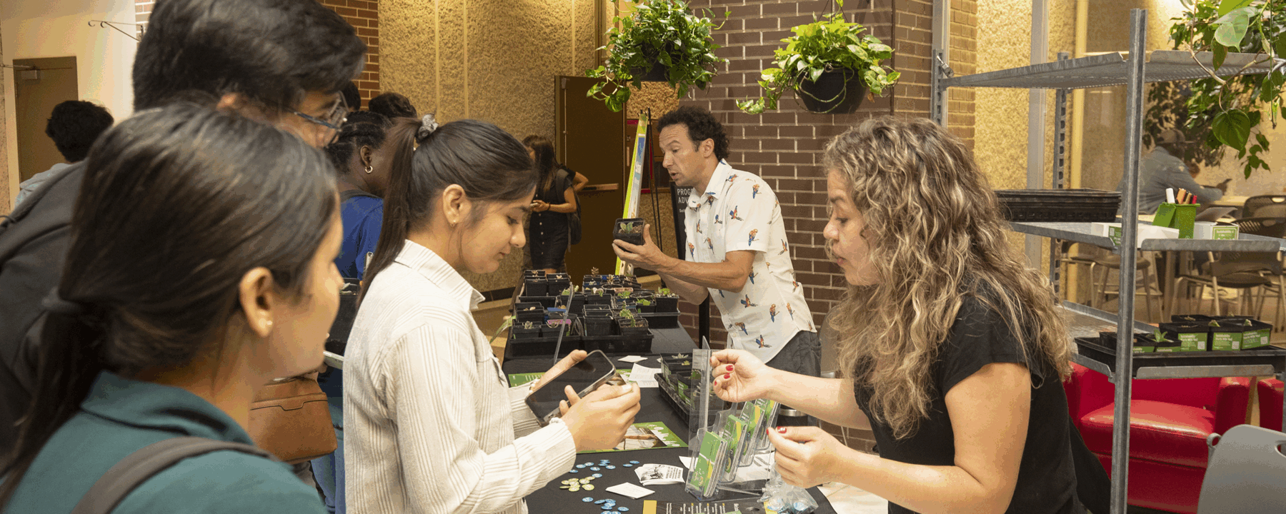 学生们与他人互动并观赏多肉植物