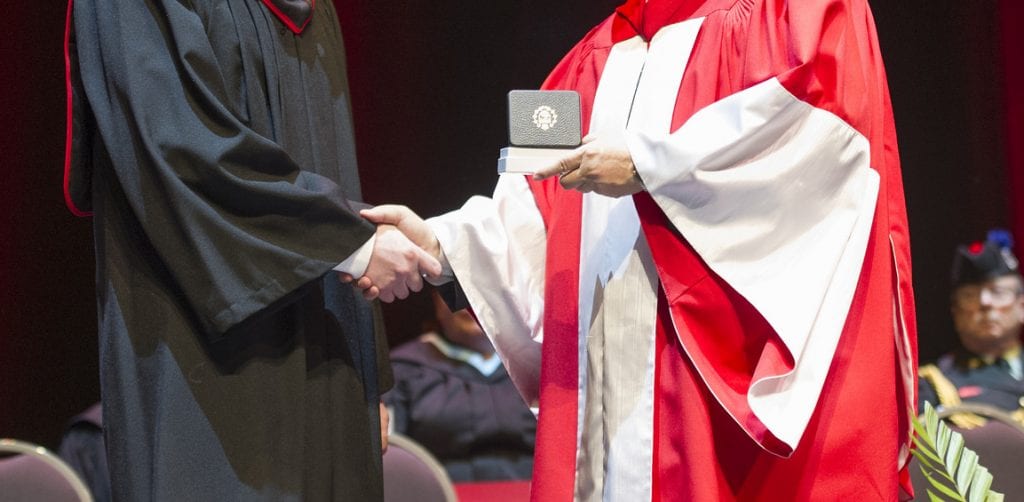 副州长熟练勋章特写