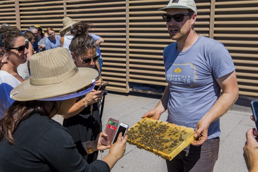 Chris Kirouac，Beeproject 养蜂场