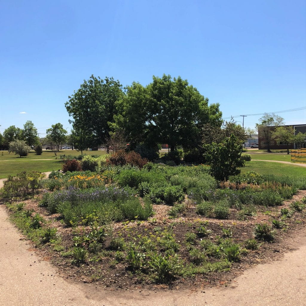 盛开的授粉花园