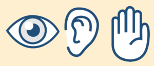 眼睛、耳朵和手的插图