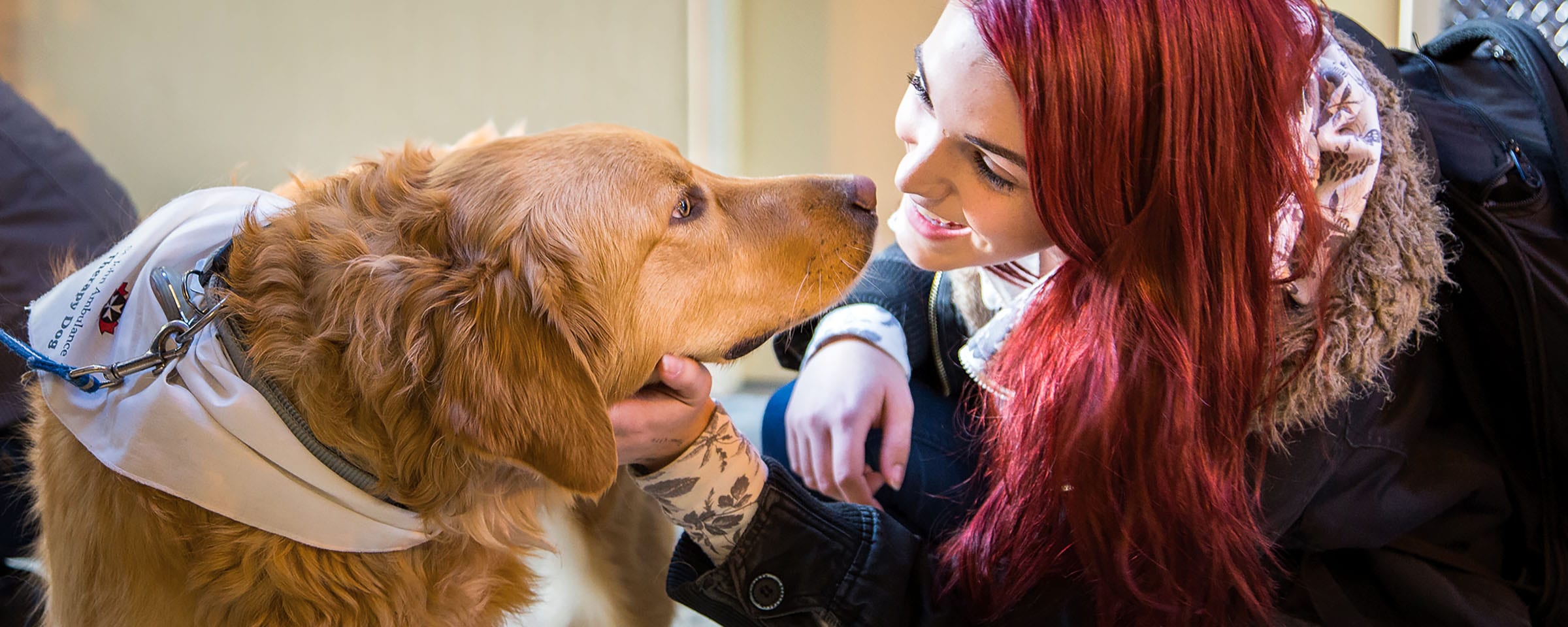 健康思想健康学院