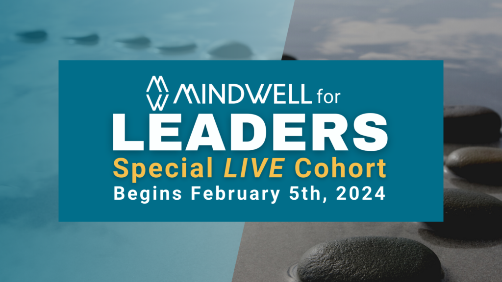 光滑的灰色岩石躺在浅水中。