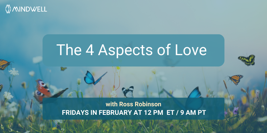 不同颜色、不同大小的蝴蝶在花草丛中翩翩起舞。