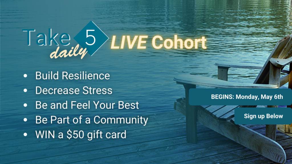 湖前码头上的一把木椅。