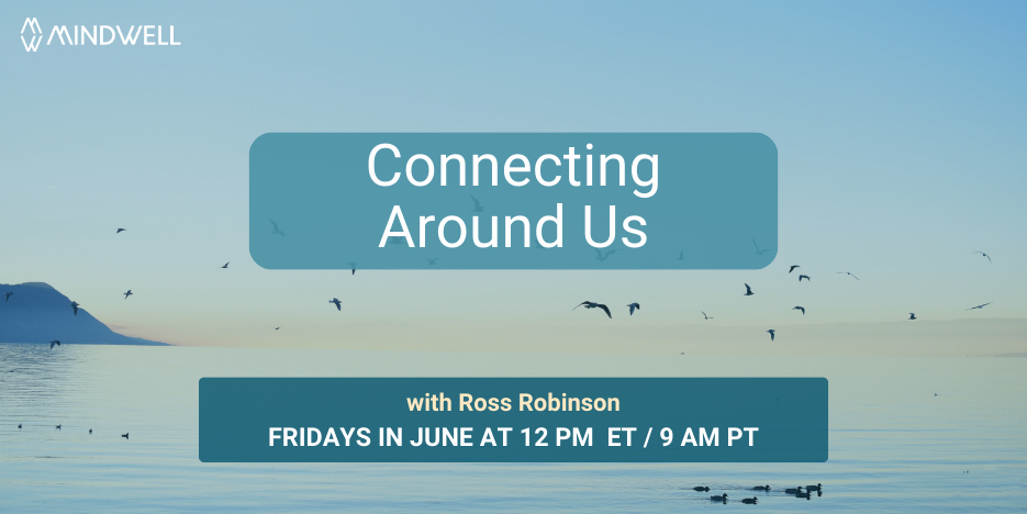 海洋，一些鸟儿在海面上飞翔，一些鸟儿在海里游泳。