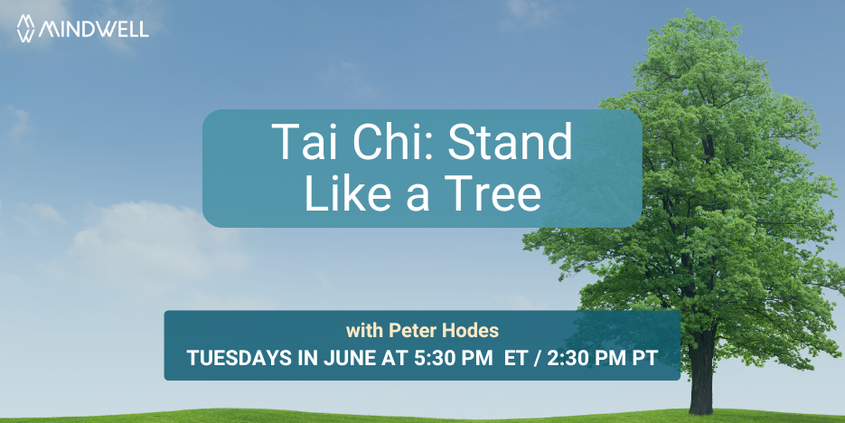 一棵鲜绿的树，背景是蓝色多云的天空。