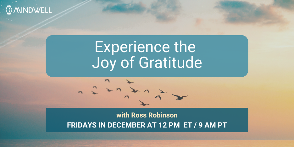 夕阳染红的天空,鸟儿成群飞翔。