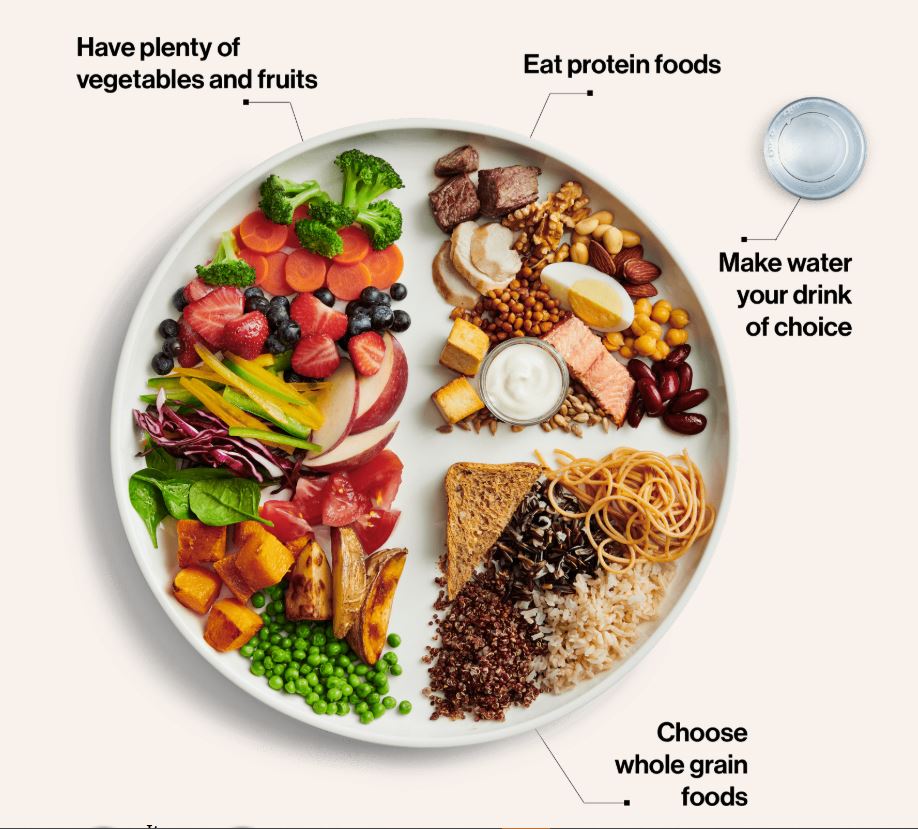 加拿大食品指南中一盘均衡食物的图片。
