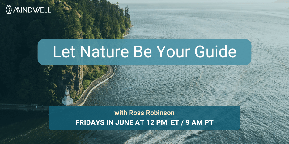 大片水域旁边的沿海道路的鸟瞰图。