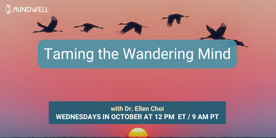 大雁飞翔，夕阳背景