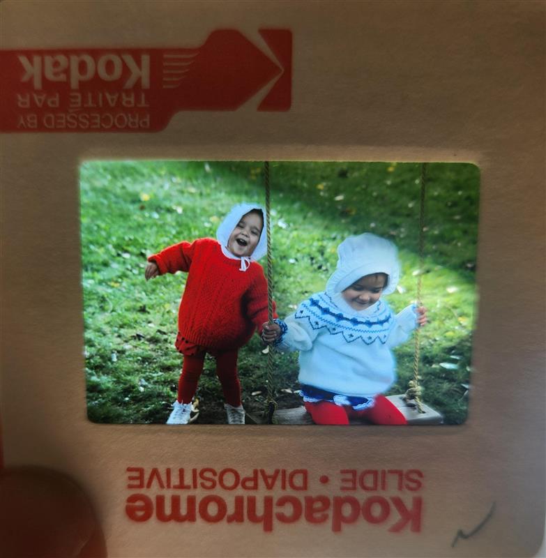 两个孩子在秋千上玩耍