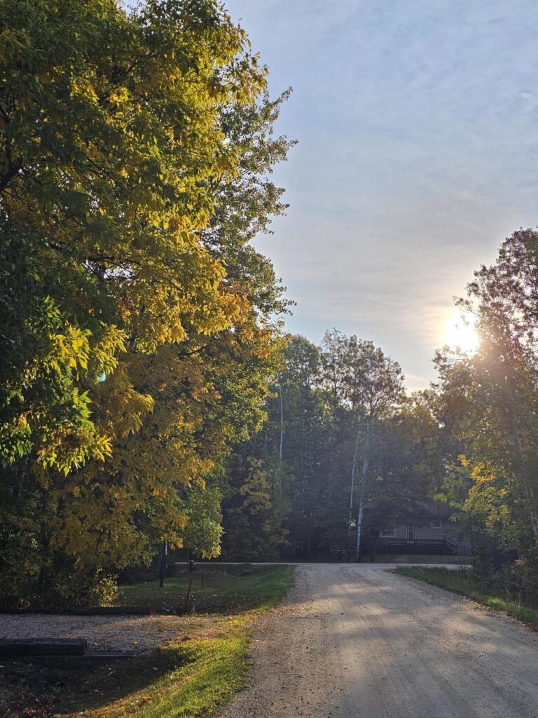 早晨散步的日出