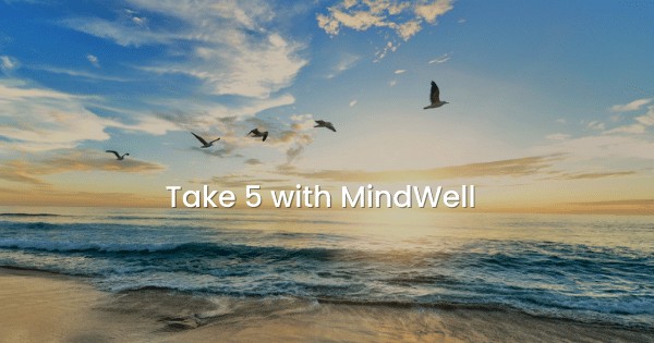 日出时飞过海洋的鸟儿