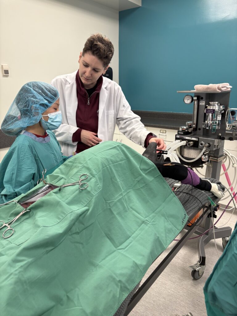 Dana Arnbjornsson 带领营员 Yien 进行模拟兽医手术演示